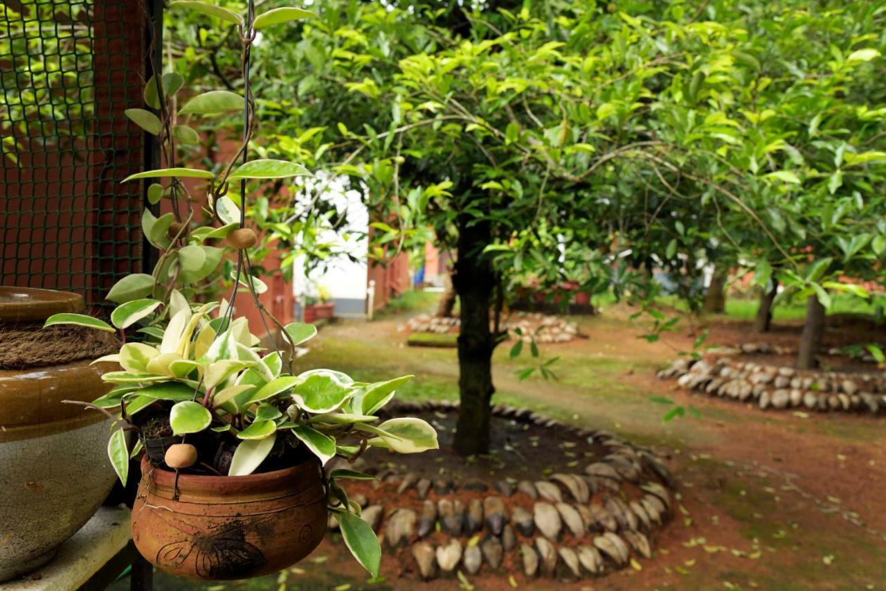 Stayvista At La Riva Heritage Villa With Bicycle Alappuzha المظهر الخارجي الصورة